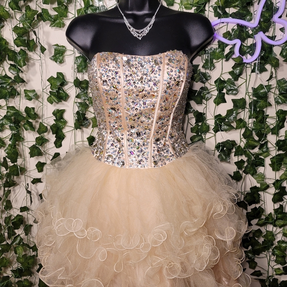๐Anny Lee Corset Dress๐ - Picture 1 of 4